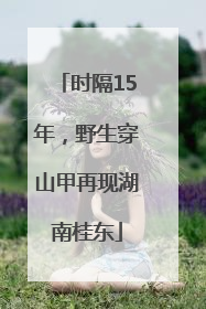时隔15年，野生穿山甲再现湖南桂东