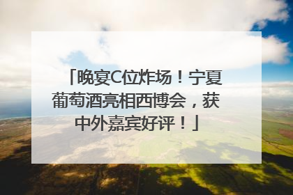 晚宴C位炸场！宁夏葡萄酒亮相西博会，获中外嘉宾好评！
