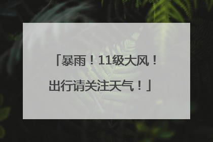 暴雨！11级大风！出行请关注天气！