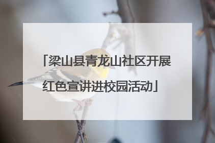 梁山县青龙山社区开展红色宣讲进校园活动