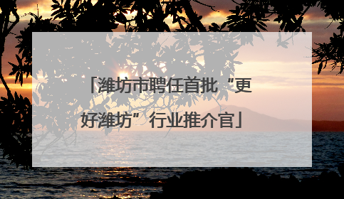 潍坊市聘任首批“更好潍坊”行业推介官