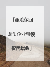 澜沧东回：龙头企业引领促民增收