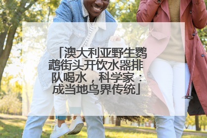 澳大利亚野生鹦鹉街头开饮水器排队喝水，科学家：成当地鸟界传统