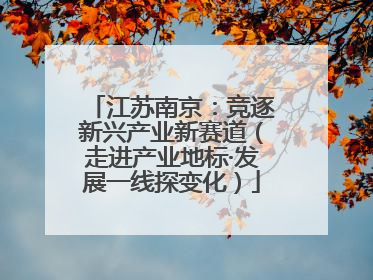 江苏南京：竞逐新兴产业新赛道（走进产业地标·发展一线探变化）