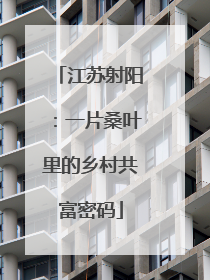 江苏射阳：一片桑叶里的乡村共富密码