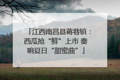 江西南昌县蒋巷镇：西瓜抢“鲜”上市 奏响夏日“甜蜜曲”
