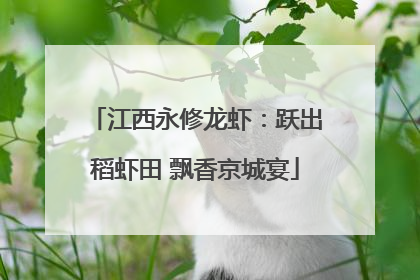 江西永修龙虾：跃出稻虾田 飘香京城宴