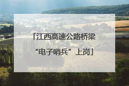 江西高速公路桥梁“电子哨兵”上岗