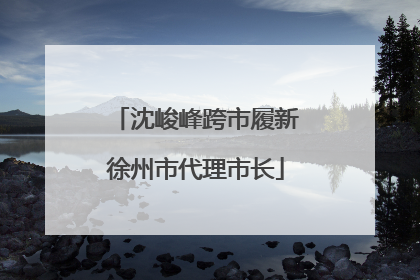 沈峻峰跨市履新徐州市代理市长