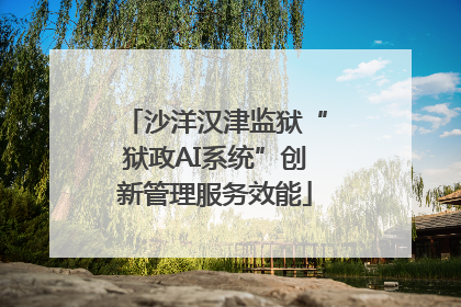 沙洋汉津监狱“狱政AI系统”创新管理服务效能