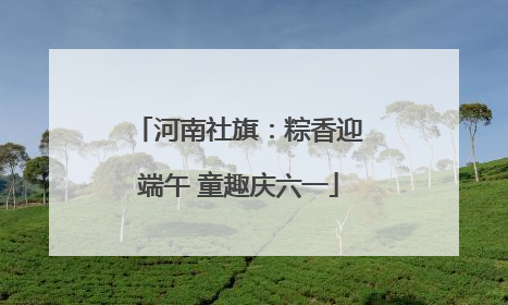 河南社旗：粽香迎端午 童趣庆六一