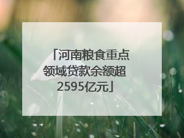 河南粮食重点领域贷款余额超2595亿元