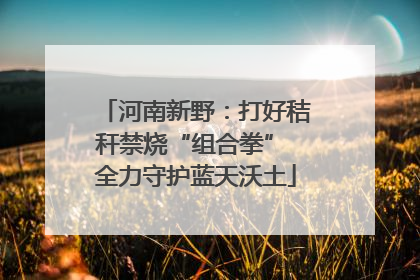 河南新野：打好秸秆禁烧“组合拳” 全力守护蓝天沃土