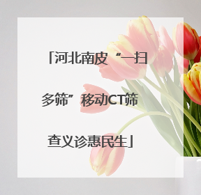 河北南皮“一扫多筛”移动CT筛查义诊惠民生