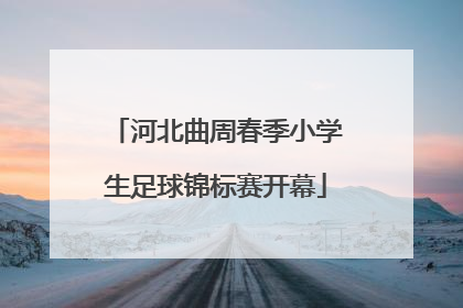 河北曲周春季小学生足球锦标赛开幕
