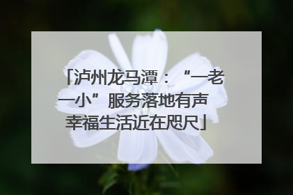 泸州龙马潭：“一老一小”服务落地有声 幸福生活近在咫尺