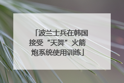 波兰士兵在韩国接受“天舞”火箭炮系统使用训练