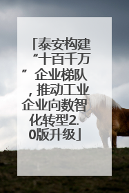 泰安构建“十百千万”企业梯队，推动工业企业向数智化转型2.0版升级