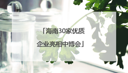 海南30家优质企业亮相中博会
