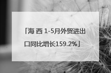 海 西 1-5月外贸进出口同比增长159.2%