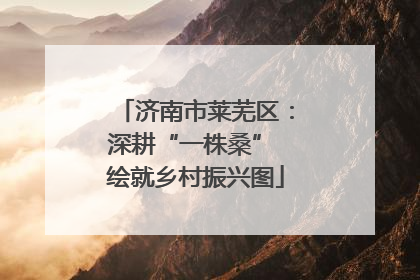济南市莱芜区：深耕“一株桑” 绘就乡村振兴图