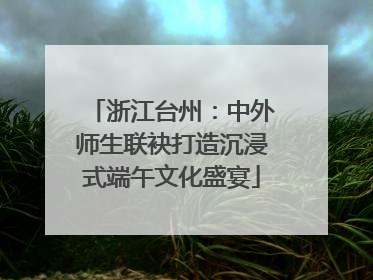浙江台州：中外师生联袂打造沉浸式端午文化盛宴