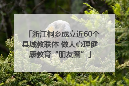 浙江桐乡成立近60个县域教联体 做大心理健康教育“朋友圈”