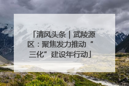 清风头条｜武陵源区：聚焦发力推动“三化”建设年行动