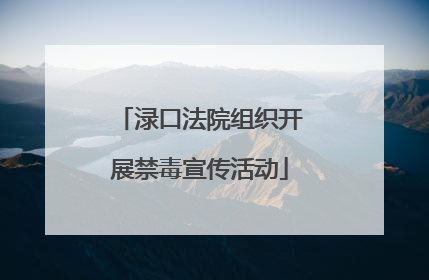 渌口法院组织开展禁毒宣传活动