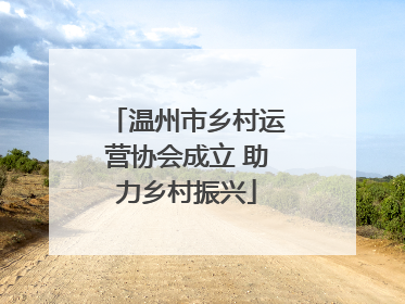 温州市乡村运营协会成立 助力乡村振兴