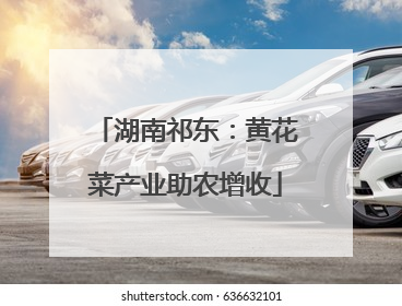 湖南祁东：黄花菜产业助农增收
