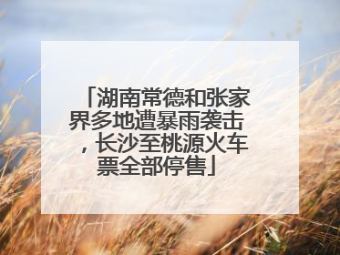 湖南常德和张家界多地遭暴雨袭击，长沙至桃源火车票全部停售