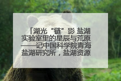 湖光“链”影 盐湖实验室里的星辰与荒原——记中国科学院青海盐湖研究所，盐湖资源化学实验室党总支书记、副主任刘忠