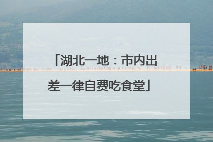 湖北一地：市内出差一律自费吃食堂