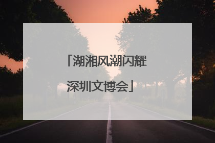 湖湘风潮闪耀深圳文博会