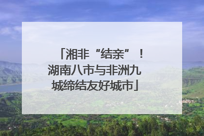 湘非“结亲”！湖南八市与非洲九城缔结友好城市