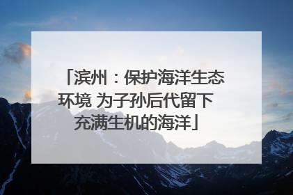 滨州：保护海洋生态环境 为子孙后代留下充满生机的海洋