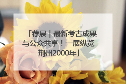 荐展｜最新考古成果与公众共享！一展纵览荆州2000年
