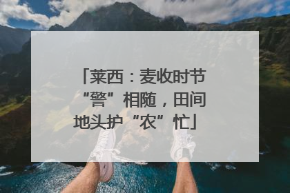 莱西：麦收时节“警”相随，田间地头护“农”忙