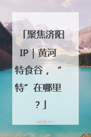聚焦济阳IP｜黄河特食谷，“特”在哪里？