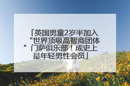 英国男童2岁半加入“世界顶级高智商团体”门萨俱乐部！成史上最年轻男性会员