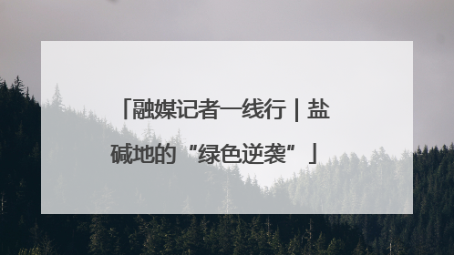 融媒记者一线行｜盐碱地的“绿色逆袭”