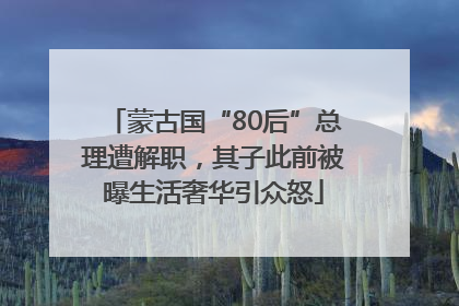 蒙古国“80后”总理遭解职，其子此前被曝生活奢华引众怒