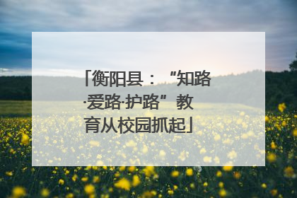 衡阳县：“知路·爱路·护路”教育从校园抓起