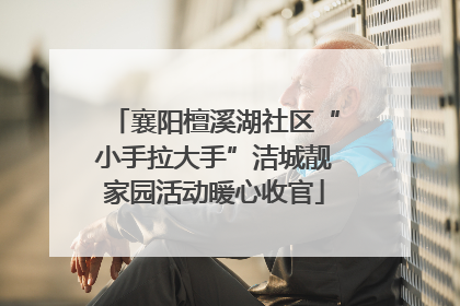襄阳檀溪湖社区“小手拉大手”洁城靓家园活动暖心收官