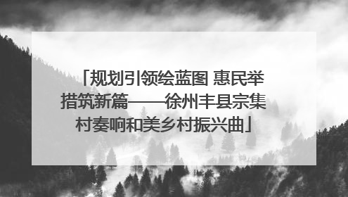 规划引领绘蓝图 惠民举措筑新篇——徐州丰县宗集村奏响和美乡村振兴曲