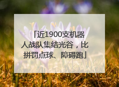 近1900支机器人战队集结光谷，比拼罚点球、障碍跑