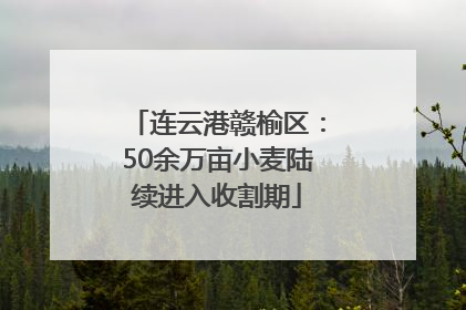 连云港赣榆区：50余万亩小麦陆续进入收割期