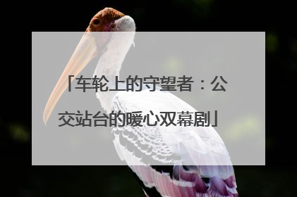 车轮上的守望者：公交站台的暖心双幕剧