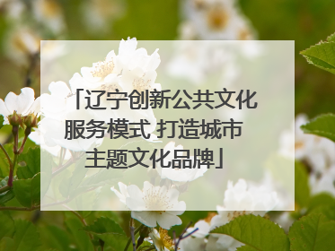 辽宁创新公共文化服务模式 打造城市主题文化品牌